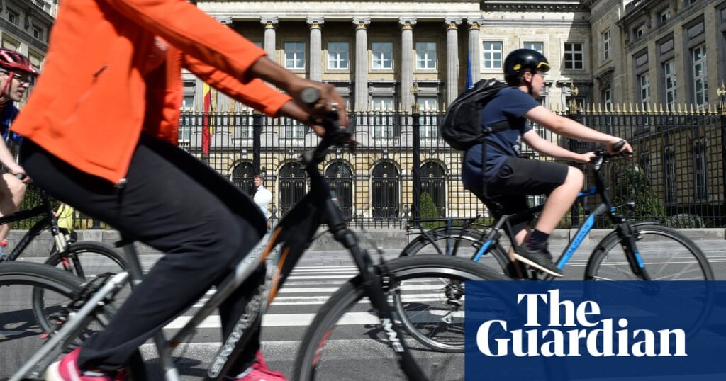 Low emission zones are successful in cutting air pollution, study finds | Air pollution