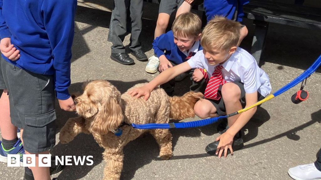 Northampton Saints hosts pupils' mental health day