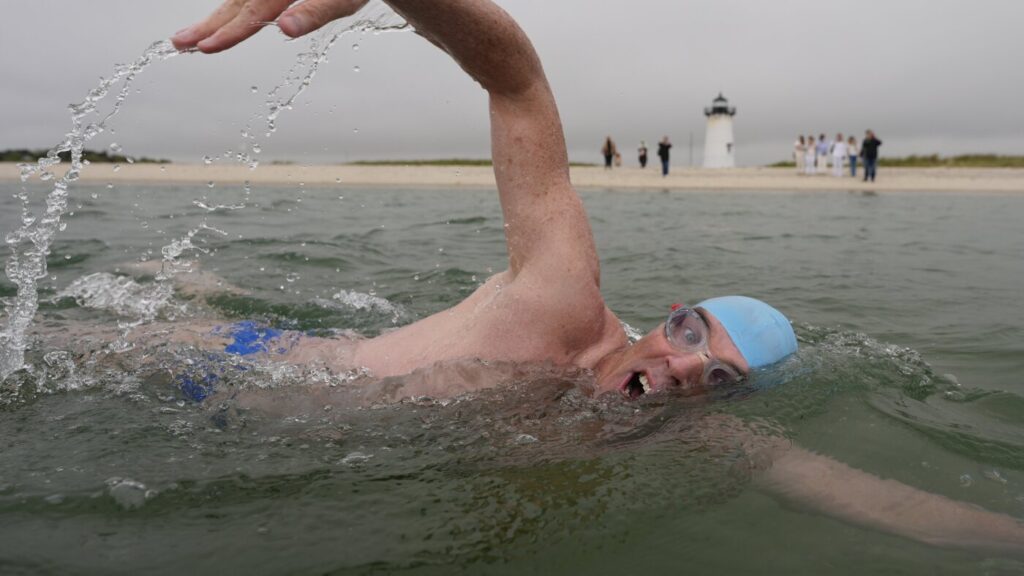 Swimmer circumnavigates Martha's Vineyard for sharks : NPR