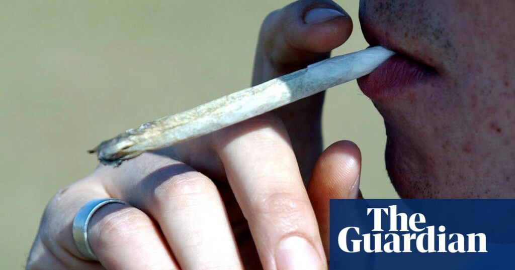 Cannabis use could double risk of heart deaths, study suggests | Cannabis