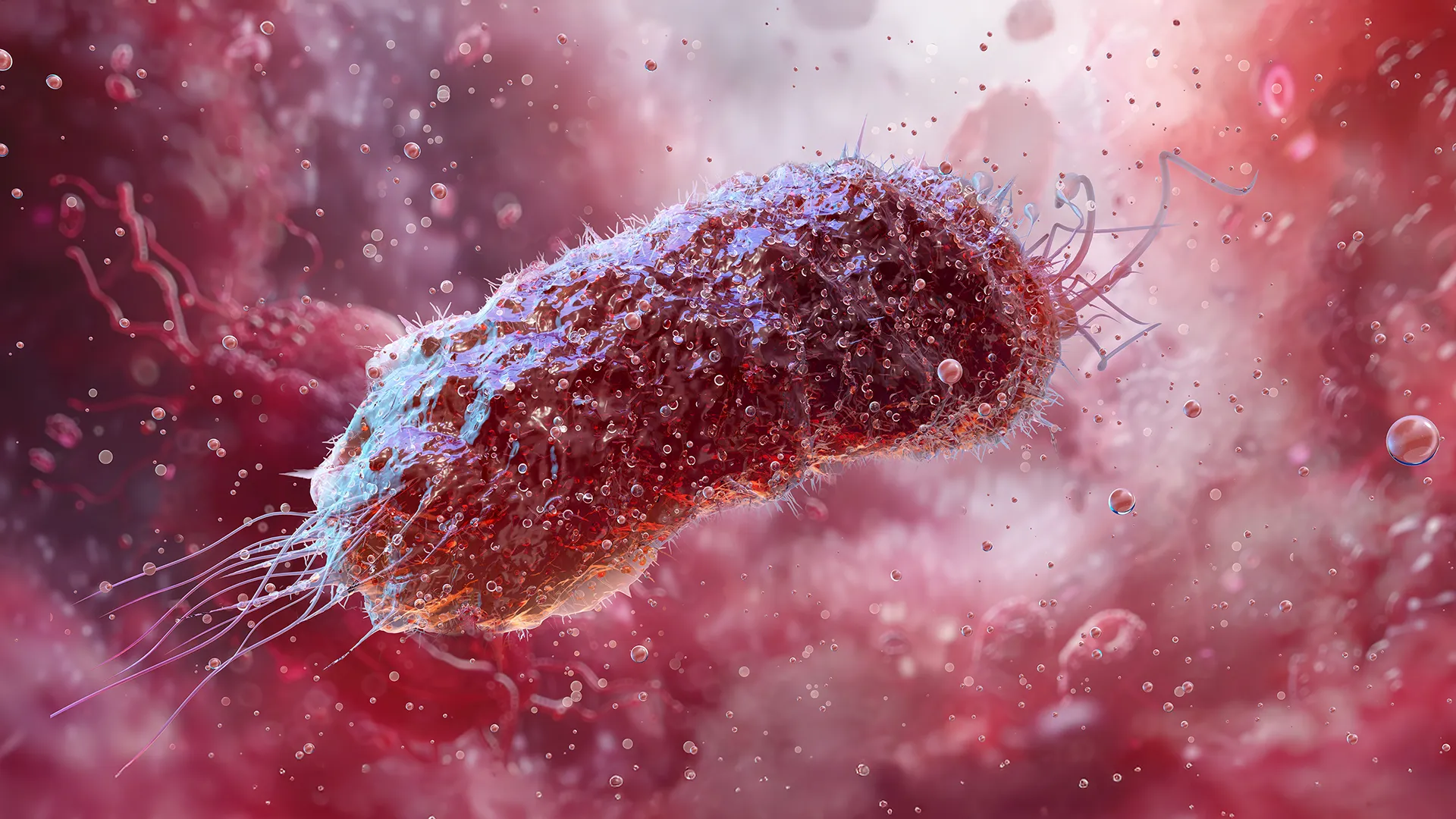 How a common antibiotic fuels bacterial resistance