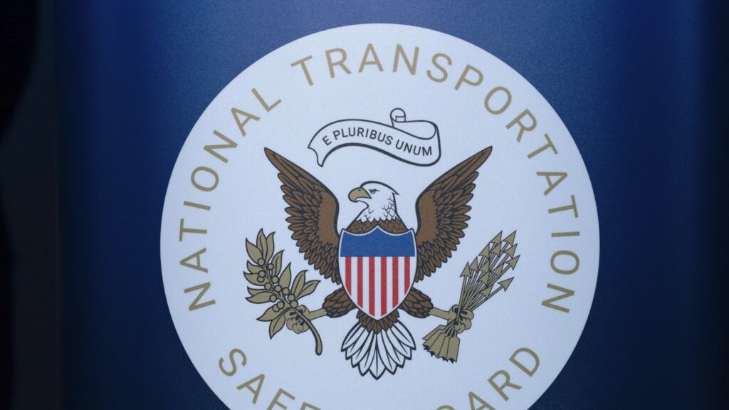 Pilot who died in a crash tried to avoid a turtle on runway : NPR