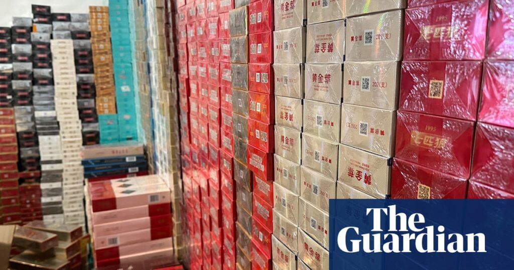 Tobacco excise has passed a ‘tipping point’ and is fuelling black market, economists warn | Smoking