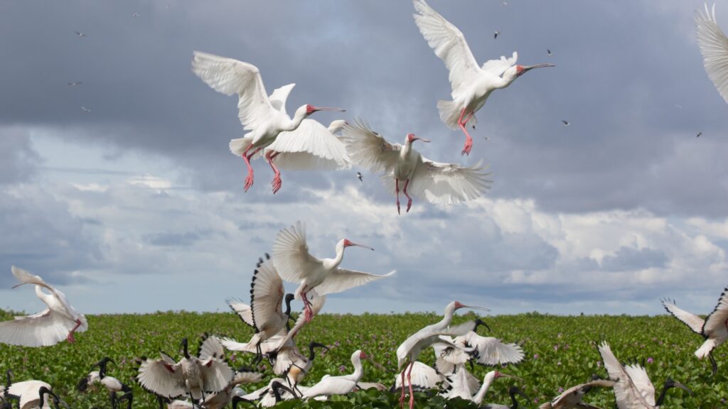 Here are some of the newest UNESCO World Heritage sites : NPR