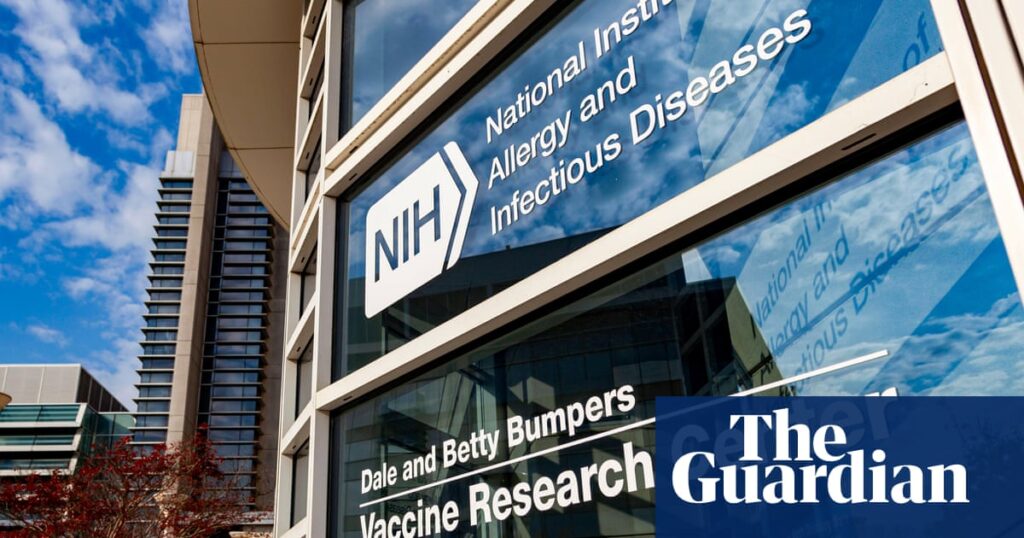 NIH under fire for funding dog tests despite vow to cut animal research | US news