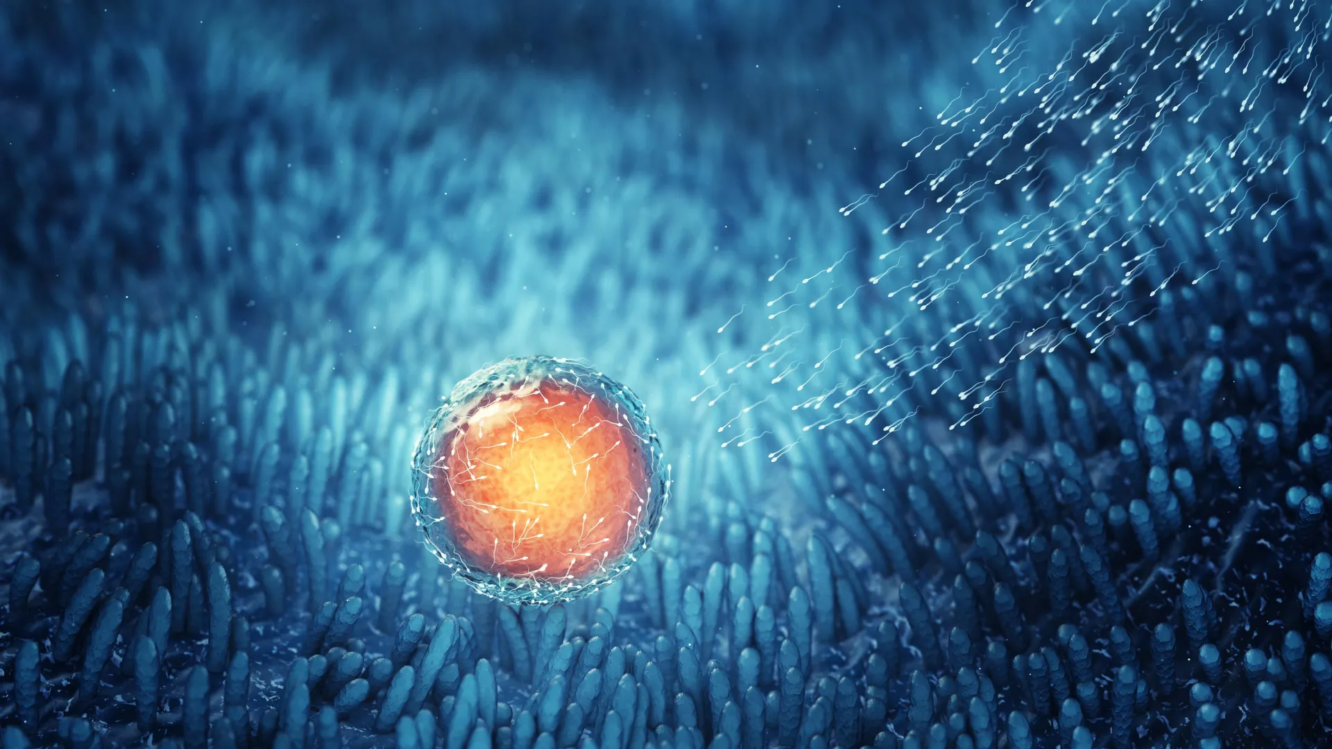 Nature’s longevity hack: How human eggs stay fresh for 50 years