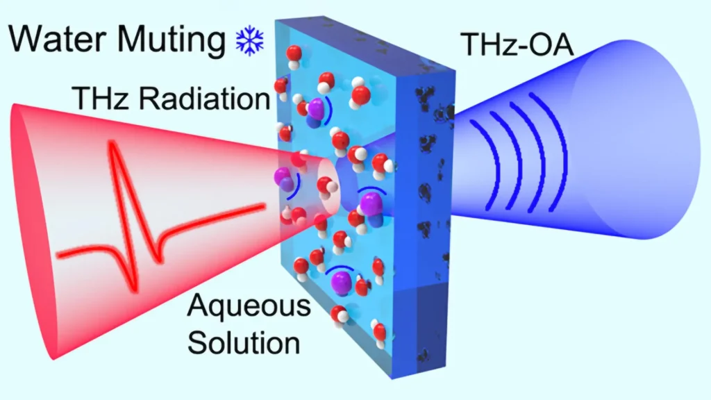 New tech tracks blood sodium without a single needle