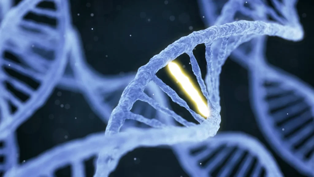 Scientists just discovered a secret code hidden in your DNA