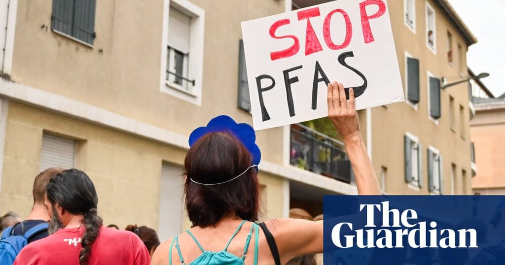 Some gut microbes can absorb and help expel ‘forever chemicals’ from the body, research shows | Pfas