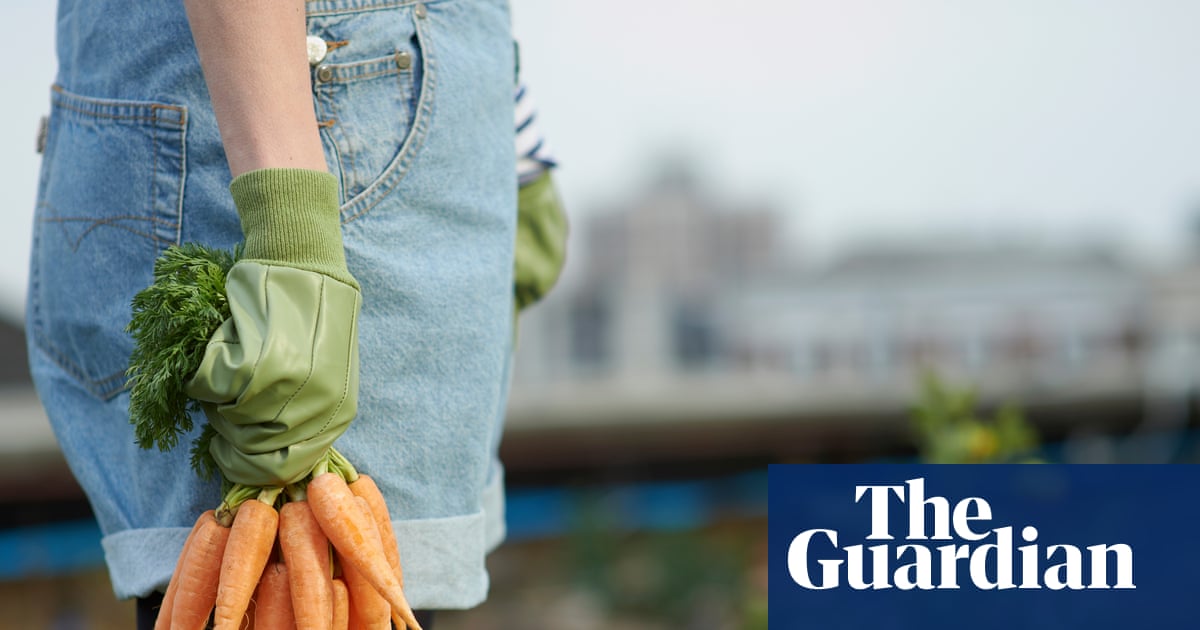 Allotments are hard work and fickle, but joyous too | Allotments