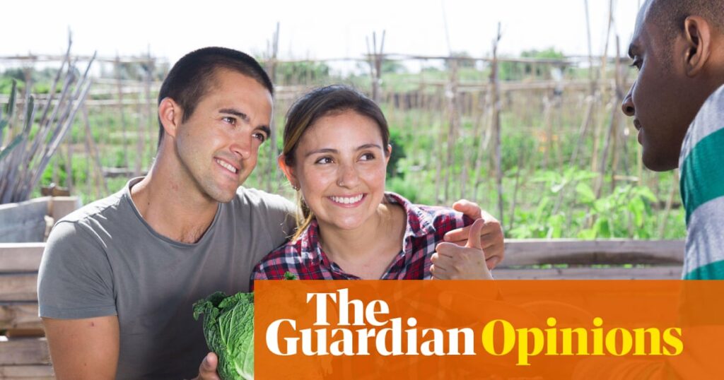 Digested week: Allotment folly, the trolley problem and gen Z bedtimes | Lucy Mangan