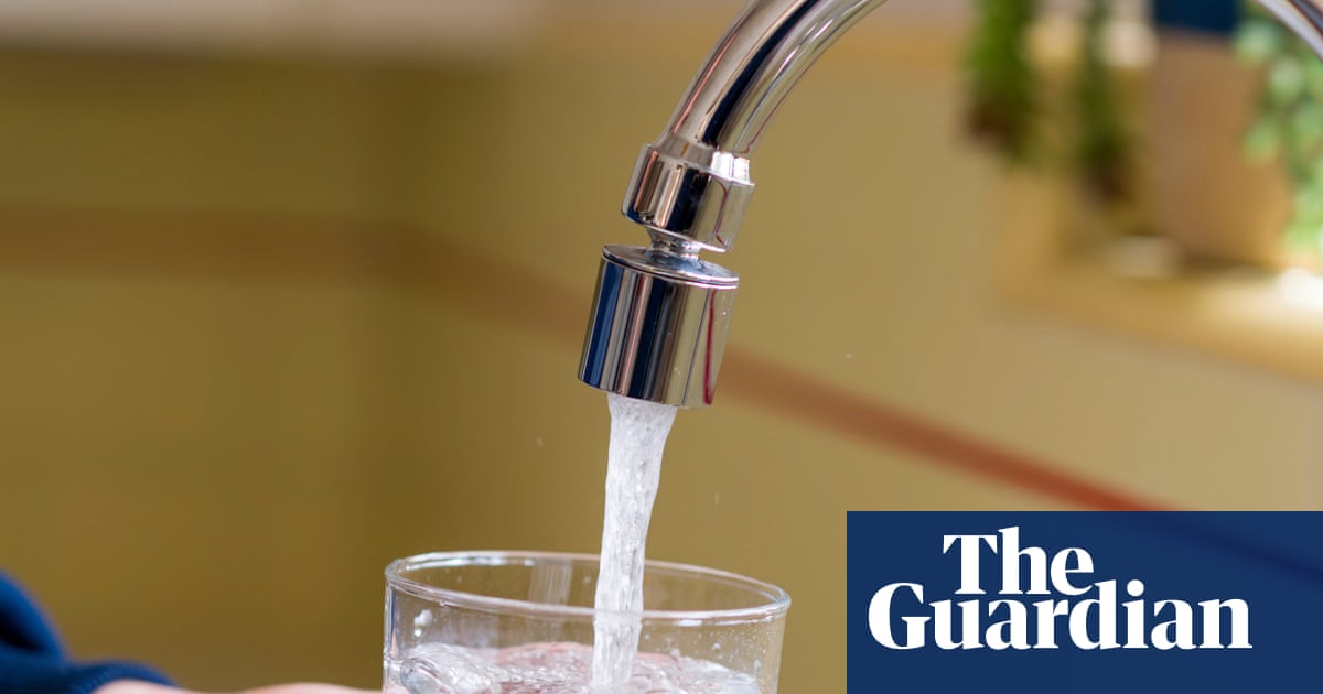 Exposure to some common Pfas changes gene activity, new study finds | Pfas