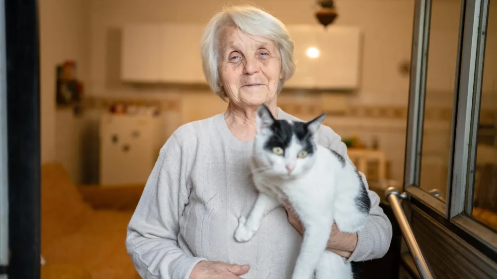 How cats with dementia could help crack the Alzheimer’s puzzle