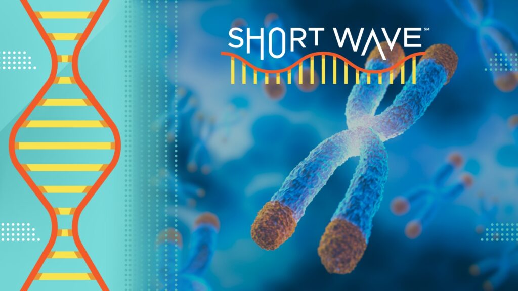 How zombie-like cells could control how human cells age : Short Wave : NPR