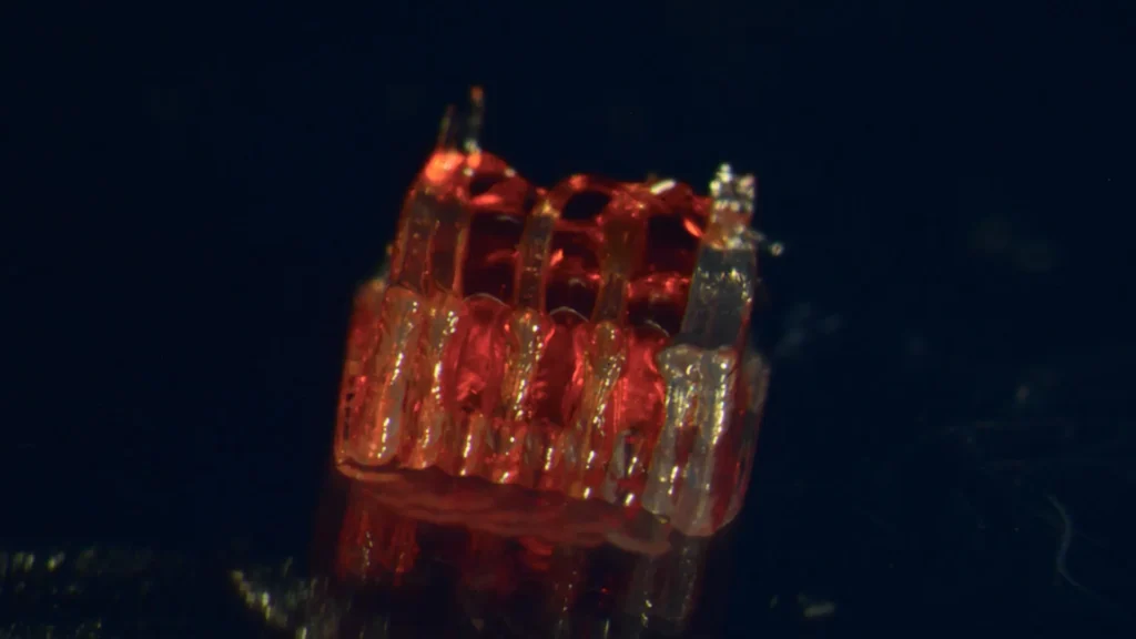 Rats walk again after breakthrough spinal cord repair with 3D printing