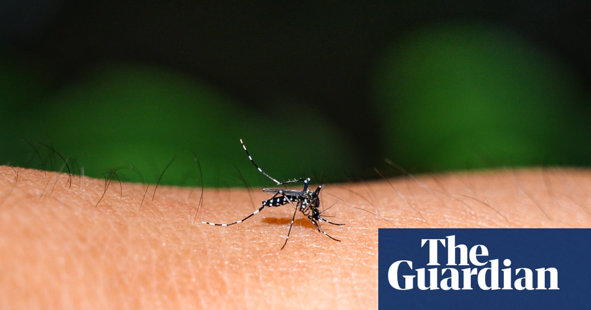 Rise in dengue fever outbreaks across the Pacific driven by the climate crisis, experts say | Pacific islands