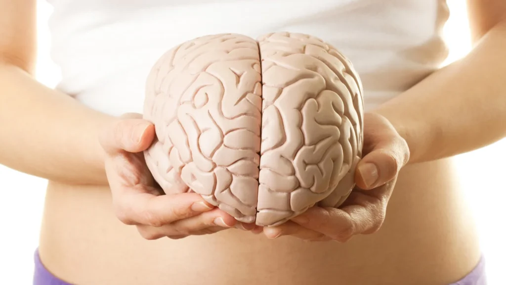 Scientists uncover hidden brain shortcut to weight loss without the nausea