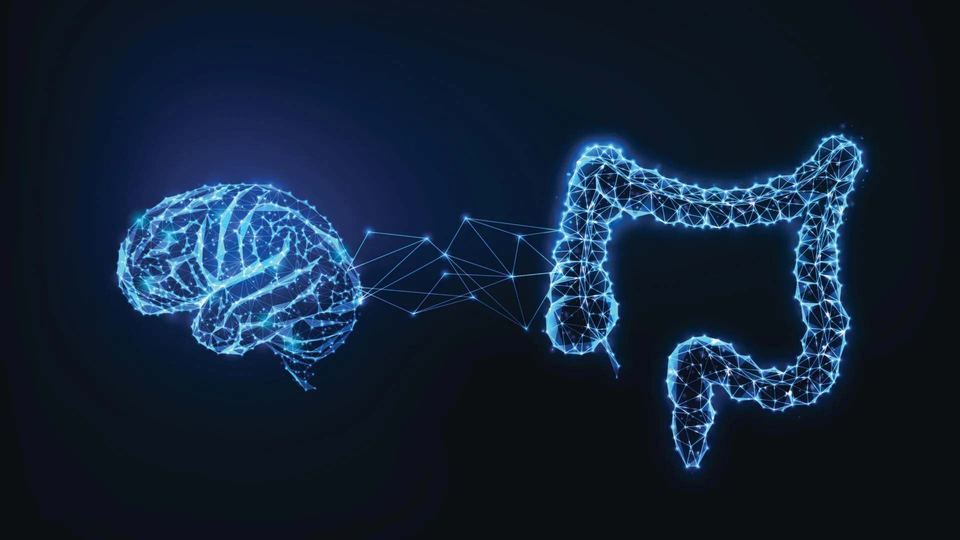 Scientists uncover hidden gut ‘sense’ that talks to your brain