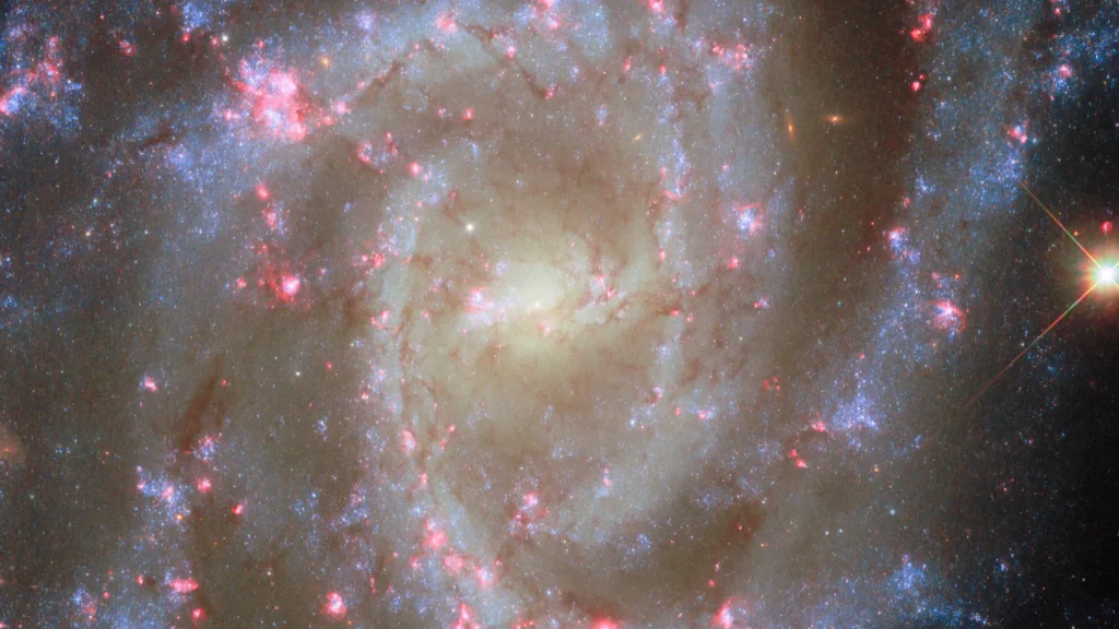 Stunning galaxy blooms with pink nebulae in Hubble’s new image