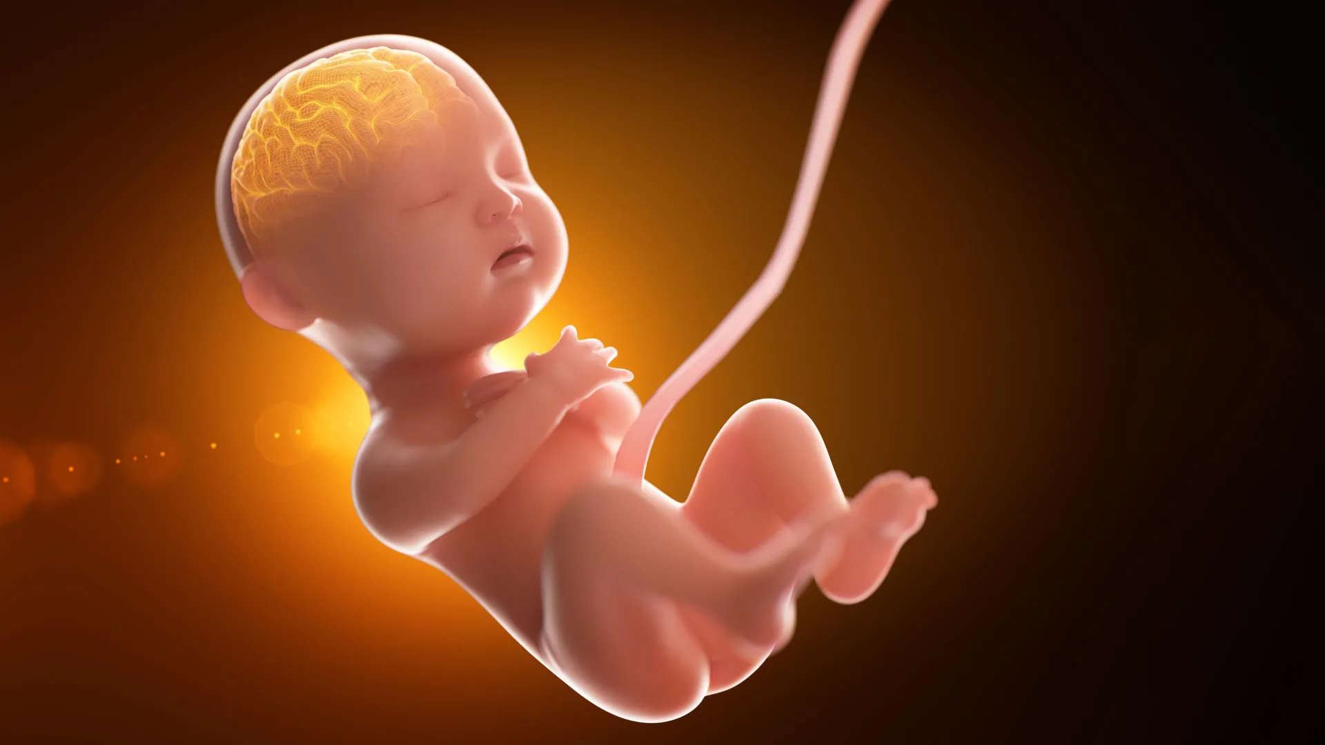 Tiny microbes may secretly rewire the brain before birth