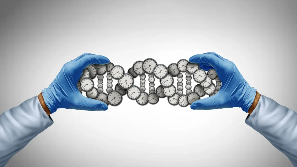 Why some people age faster. And the 400 genes behind it