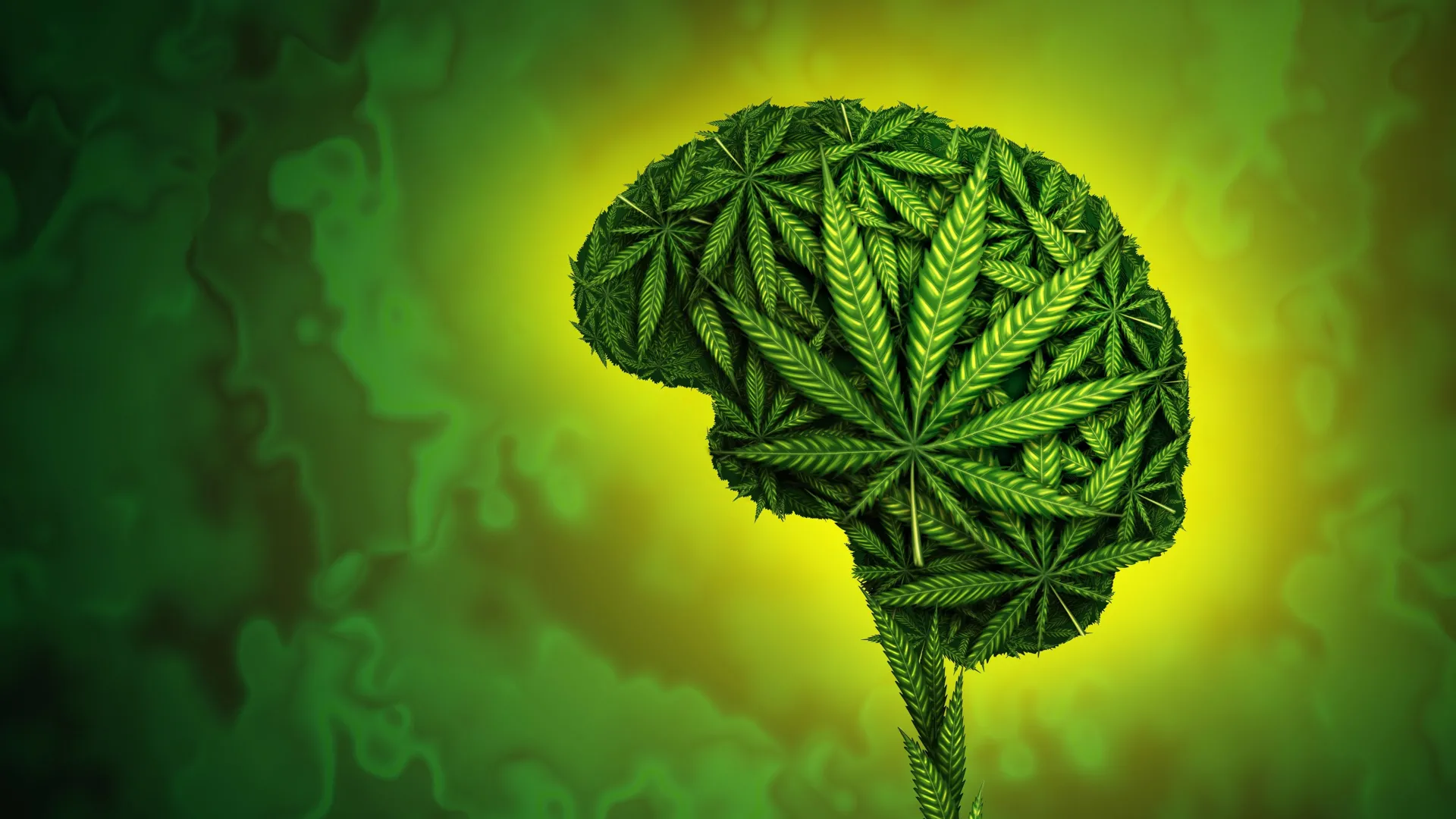 Stronger weed, higher risk? Potent THC linked to psychosis and addiction